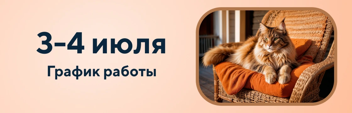 График работы 3-4 июля 2025 г